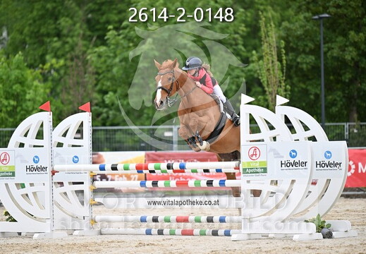 05.14-17 Pferd Wels CSN-A*
