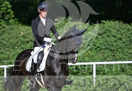 06.26-28 Stadl-Paura CDN-A*