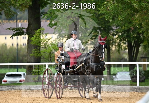 09.17-20 Stadl-Paura Bundeschampionat