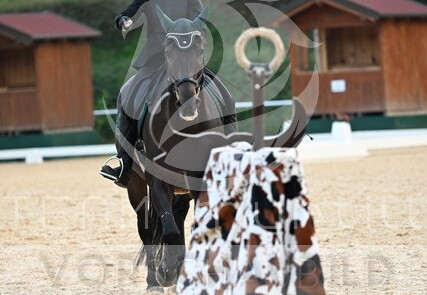 10.02-04 Stadl-Paura CWEN-C